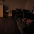 Kundenbild Brandy Lounge Sessel 1,5-Sitzer Sofa - Dunkelgrau (Samt)