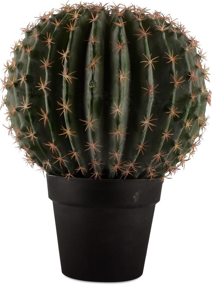 Künstliche Pflanze - Kaktus 36 cm - €38.99 