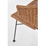 Cadeira Esszimmerstuhl 407 - Rattan