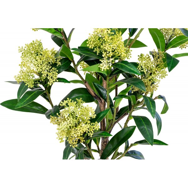 Kunstpflanze Skimmia-Baum - Grün