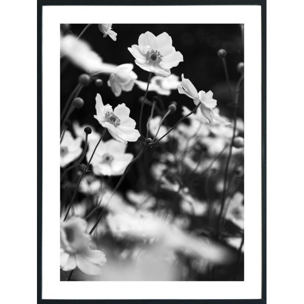 Posterworld - Motiv Lilly - 50 x 70 cm