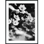 Posterworld - Motiv Lilly - 50 x 70 cm