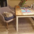 Kundenbild Haylee Sessel - Beige