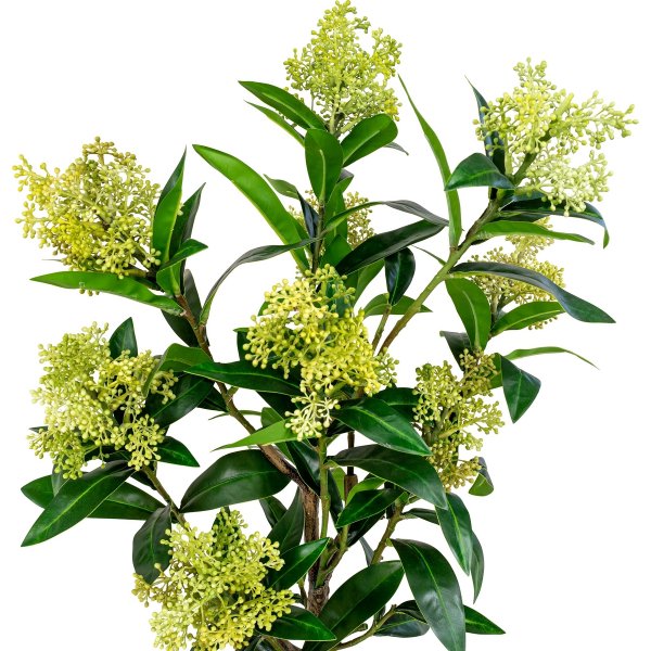Kunstpflanze Skimmia-Baum - Grün