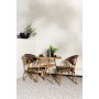 Café-Gruppe Abrantes - Brown