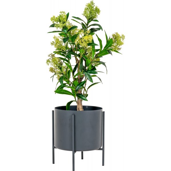 Kunstpflanze Skimmia-Baum - Grün