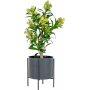 Kunstpflanze Skimmia-Baum - Grün