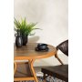 Café-Gruppe Abrantes - Brown
